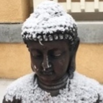 Avatar of Joseph Sanchez