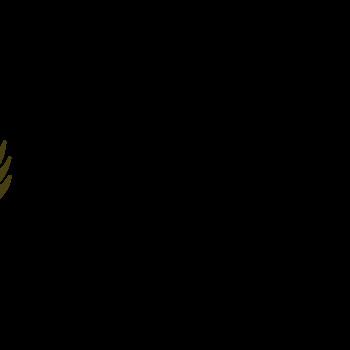 Avatar of Ravin D. Spicer