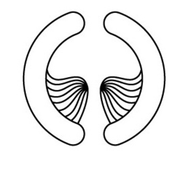 Avatar of Adam ONeil