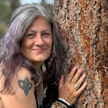 Avatar of Julie Wallace