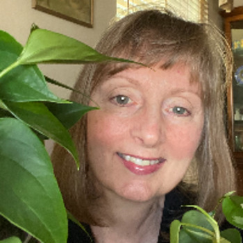 Avatar of Terri L. Fessler, LCSW