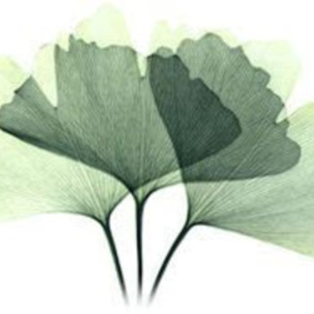Avatar of Pamela Wadzita
