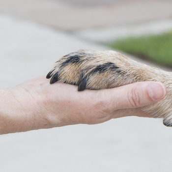 Avatar of Kim Sullivan