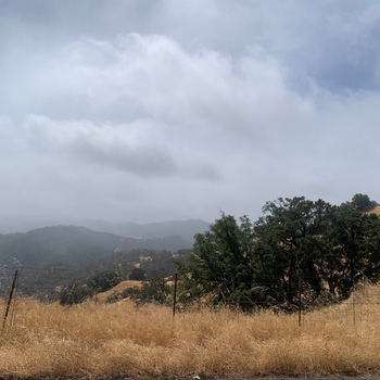 Avatar of Gretchen Hahn