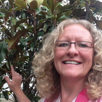 Avatar of Laurie A. Ward, MA, LPC, Certified Imago Therapist