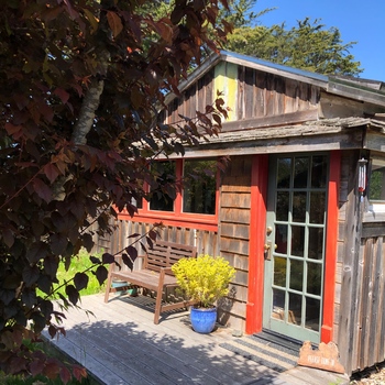 Avatar of Renee Clark