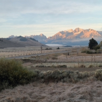 Avatar of Emily Henderson