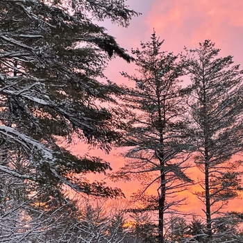 Avatar of Beth Lynch