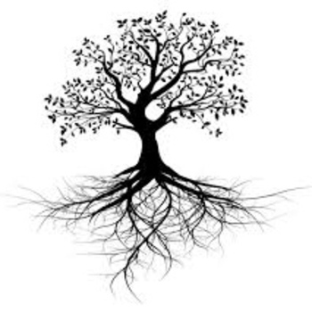 Avatar of Pamela M. Hughes, PhD, LCSW