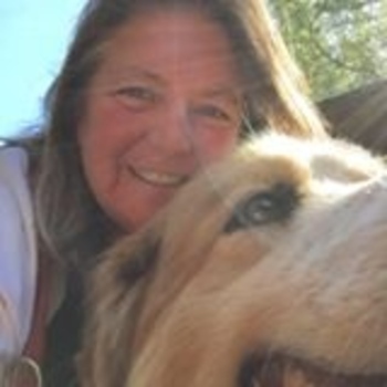 Avatar of marybeth wiefels