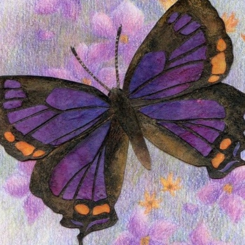 Avatar of Marcia Peetz