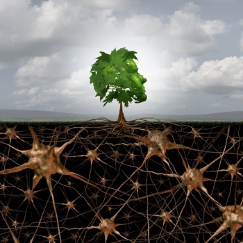 Avatar of CENTER HOPE SOLUTIONS, LLC