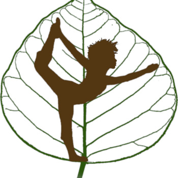 Avatar of Nyambura Kihato